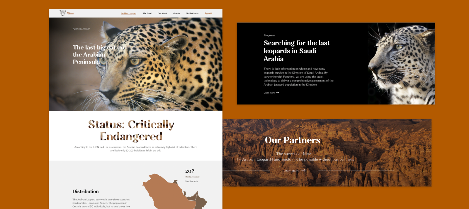 The Global Fund for the Arabian Leopard image