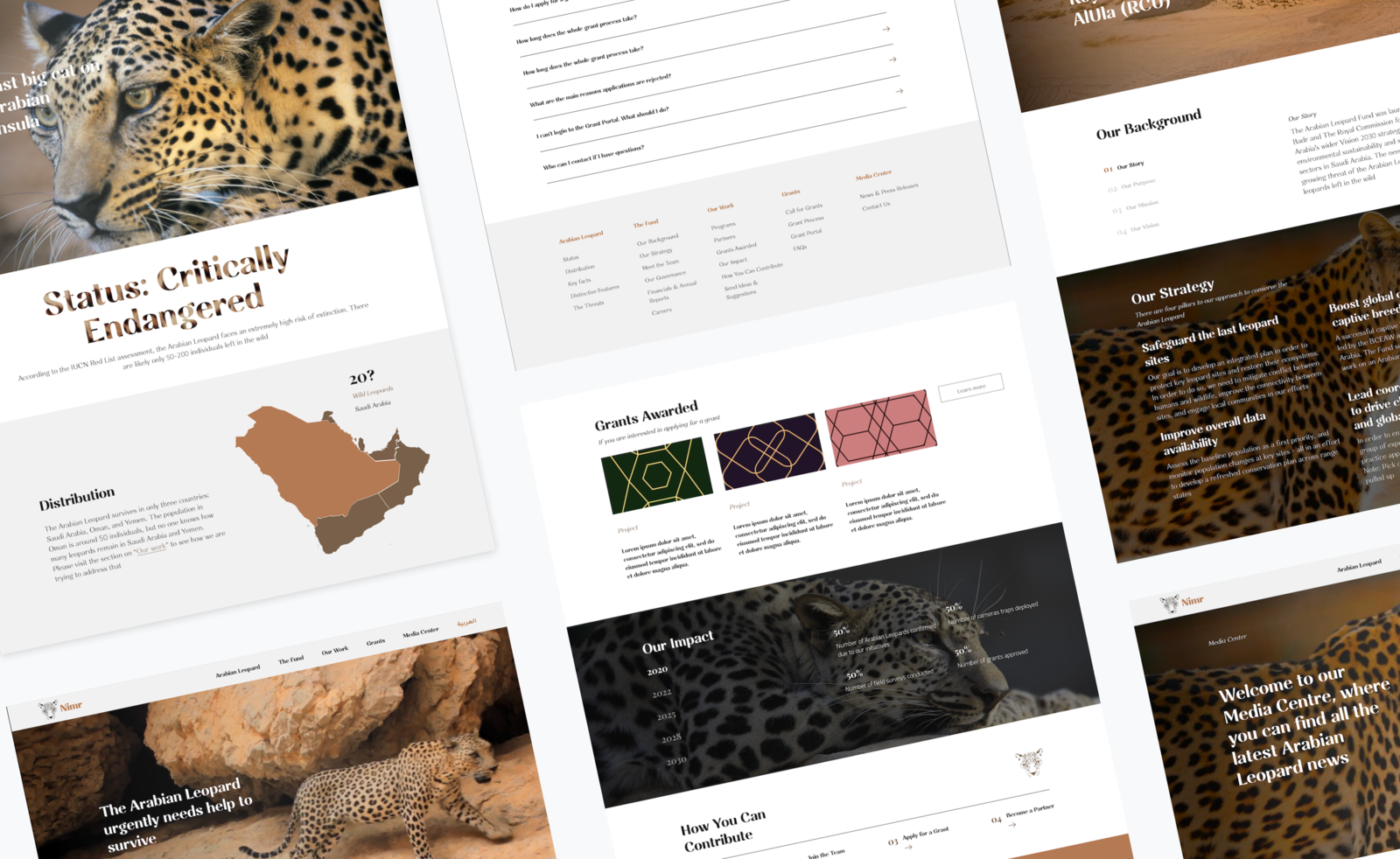 Arabian leopard fund cause final results image