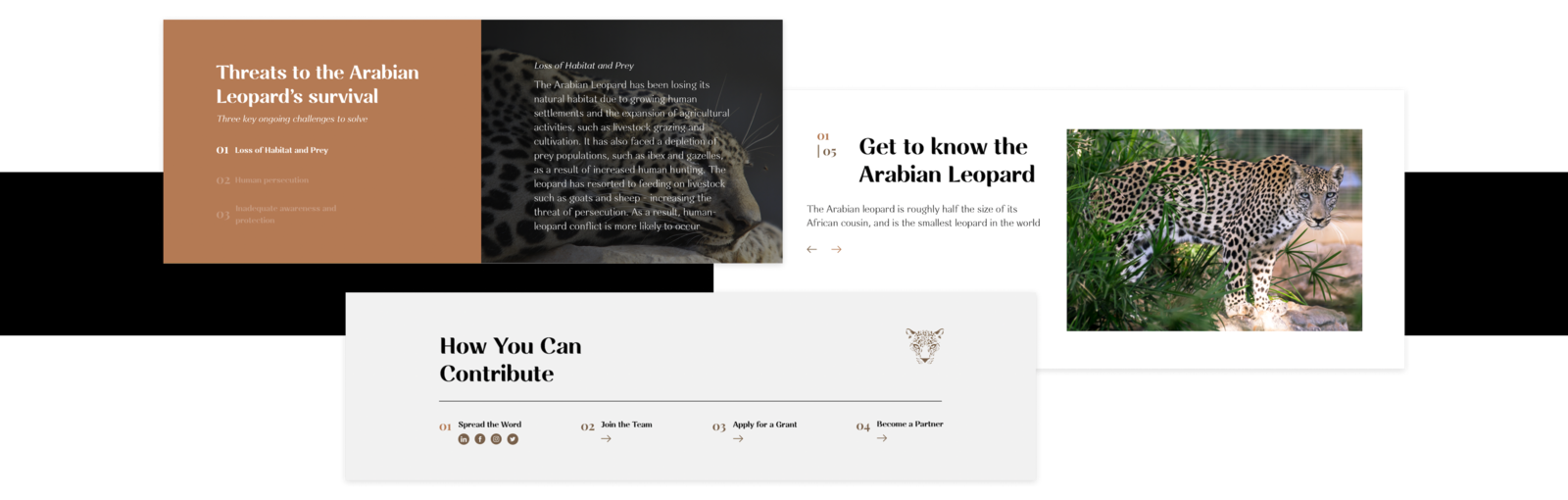 Design Aesthetic